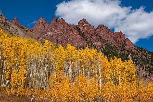 Ostrowitz, Mallorie 아티스트의 Maroon Bells-Snowmass Wilderness of Colorado-red rock cliffs작품입니다.
